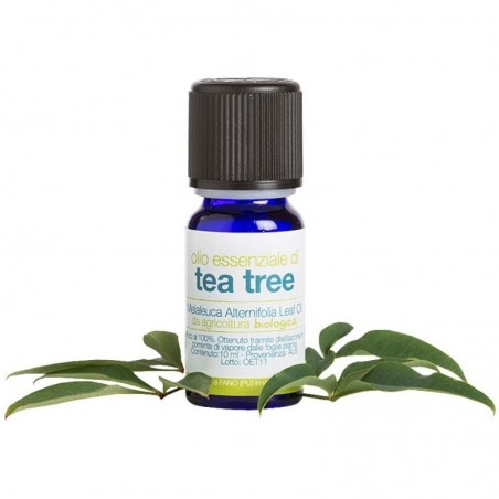 olio essenziale di tea tree bio 10 ml