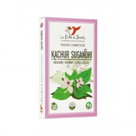 kachur sugandhi